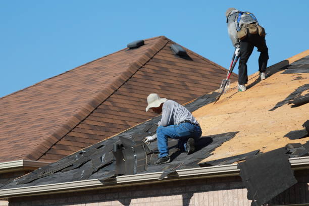 Best 4 Ply Roofing  in Hackberry, TX